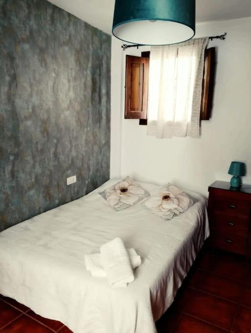 Claustro Home Casco Historico قرطبة المظهر الخارجي الصورة