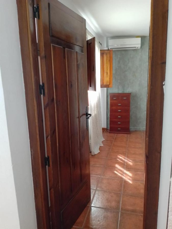 Claustro Home Casco Historico قرطبة المظهر الخارجي الصورة