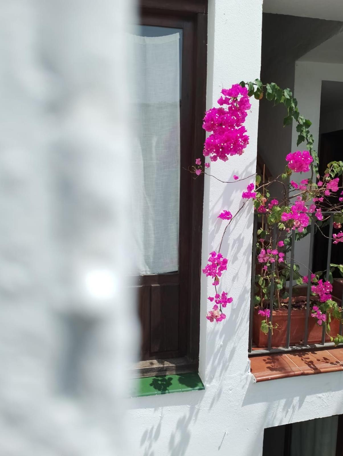 Claustro Home Casco Historico قرطبة المظهر الخارجي الصورة